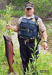 alaska department of fish and game jobs|Appointed Positions, Alaska Department of Fish and Game.